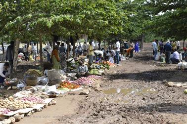 Farmer Market, Bauernmarkt, Mysore_DSC4693_H600